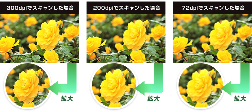 300/200/72dpiでスキャンした場合の画像